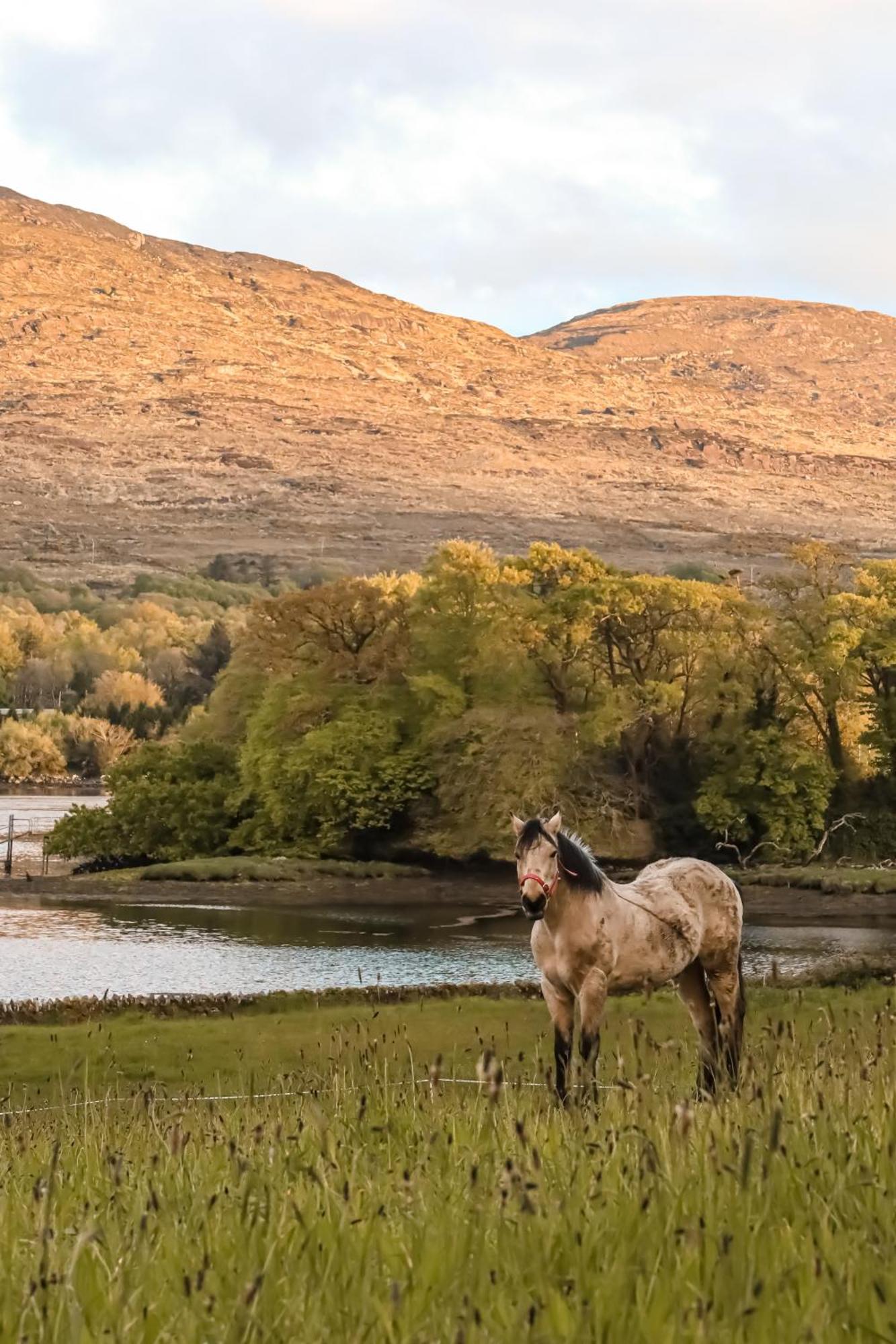 Park Hotel Kenmare Bagian luar foto